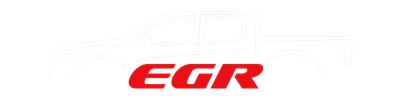 egrvalvedelete